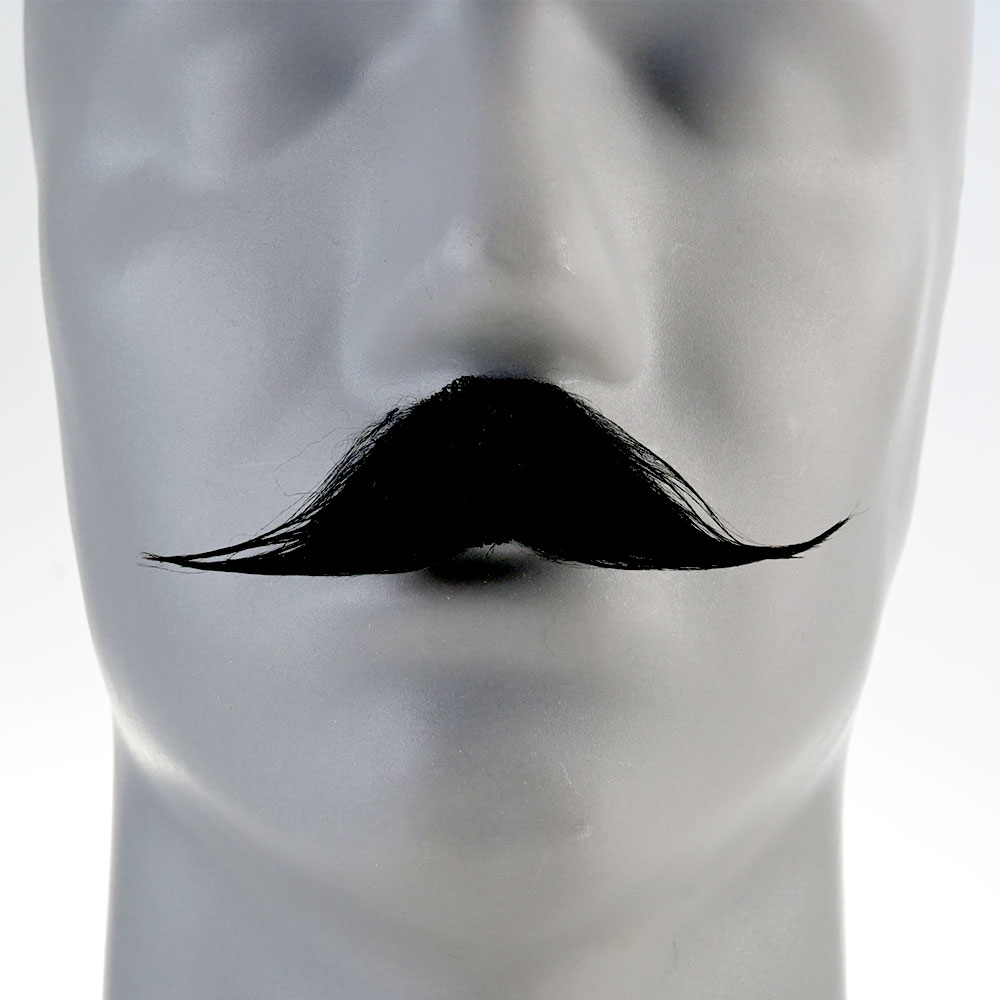 Bigote 2