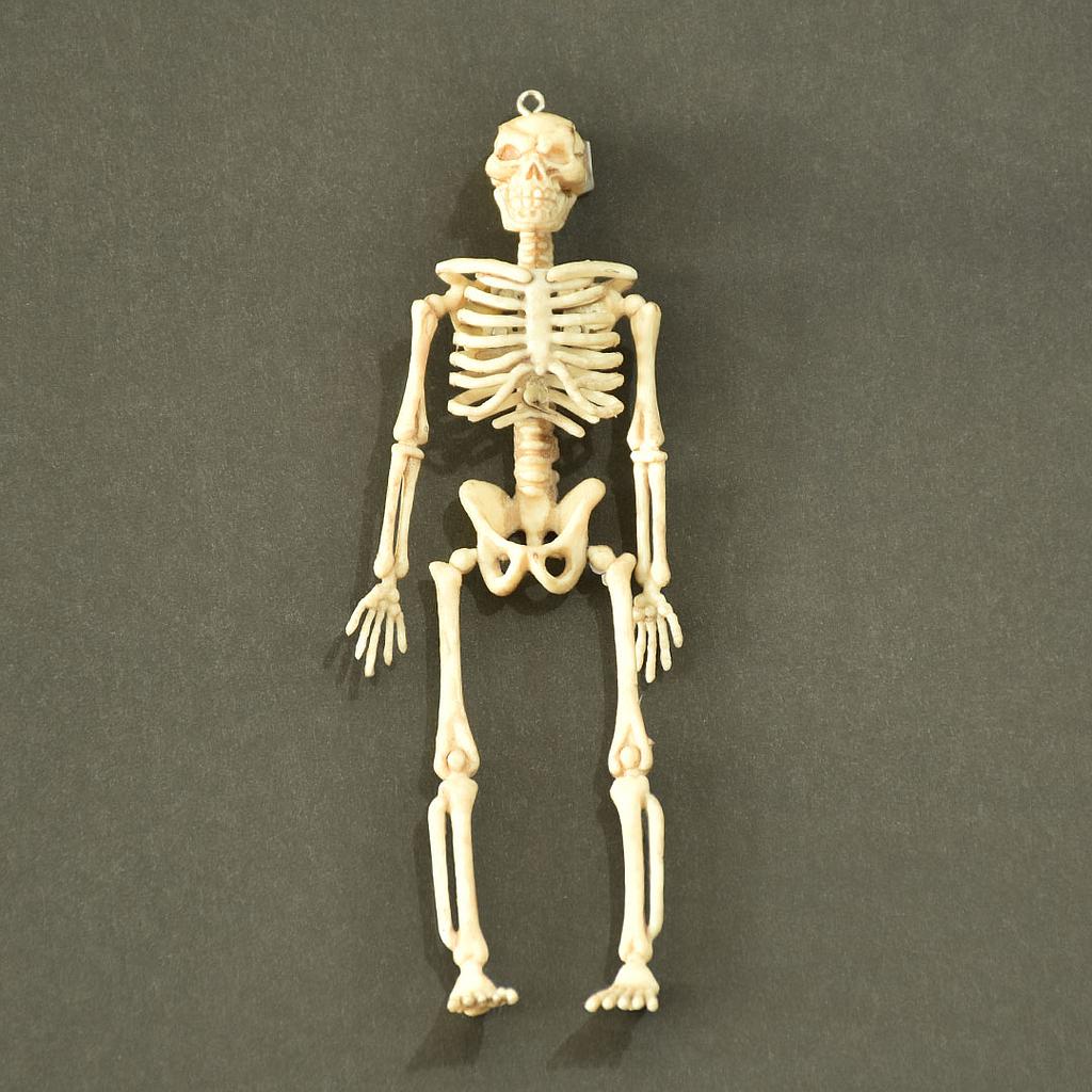 Calavera colgante