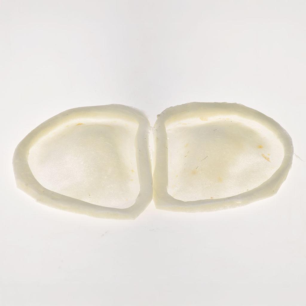 Prostético de pómulos de foam Mod. 1 Criatura