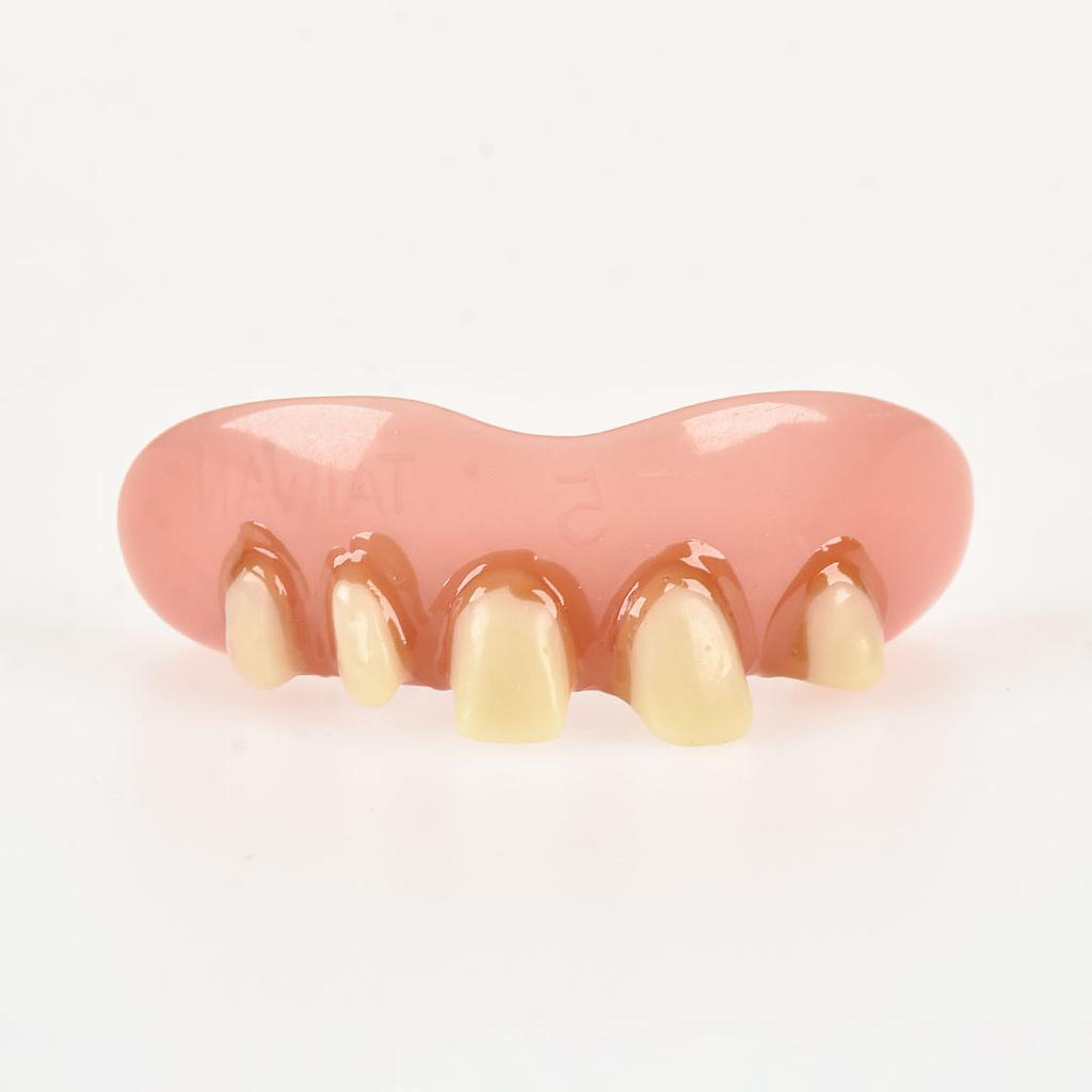10051 Dientes BillyBob Originales