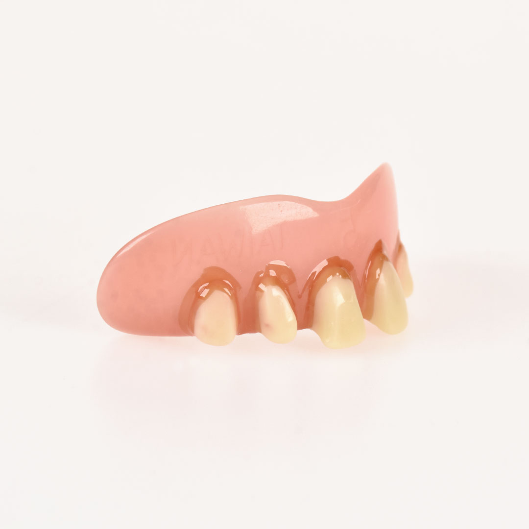 10051 Dientes BillyBob Originales