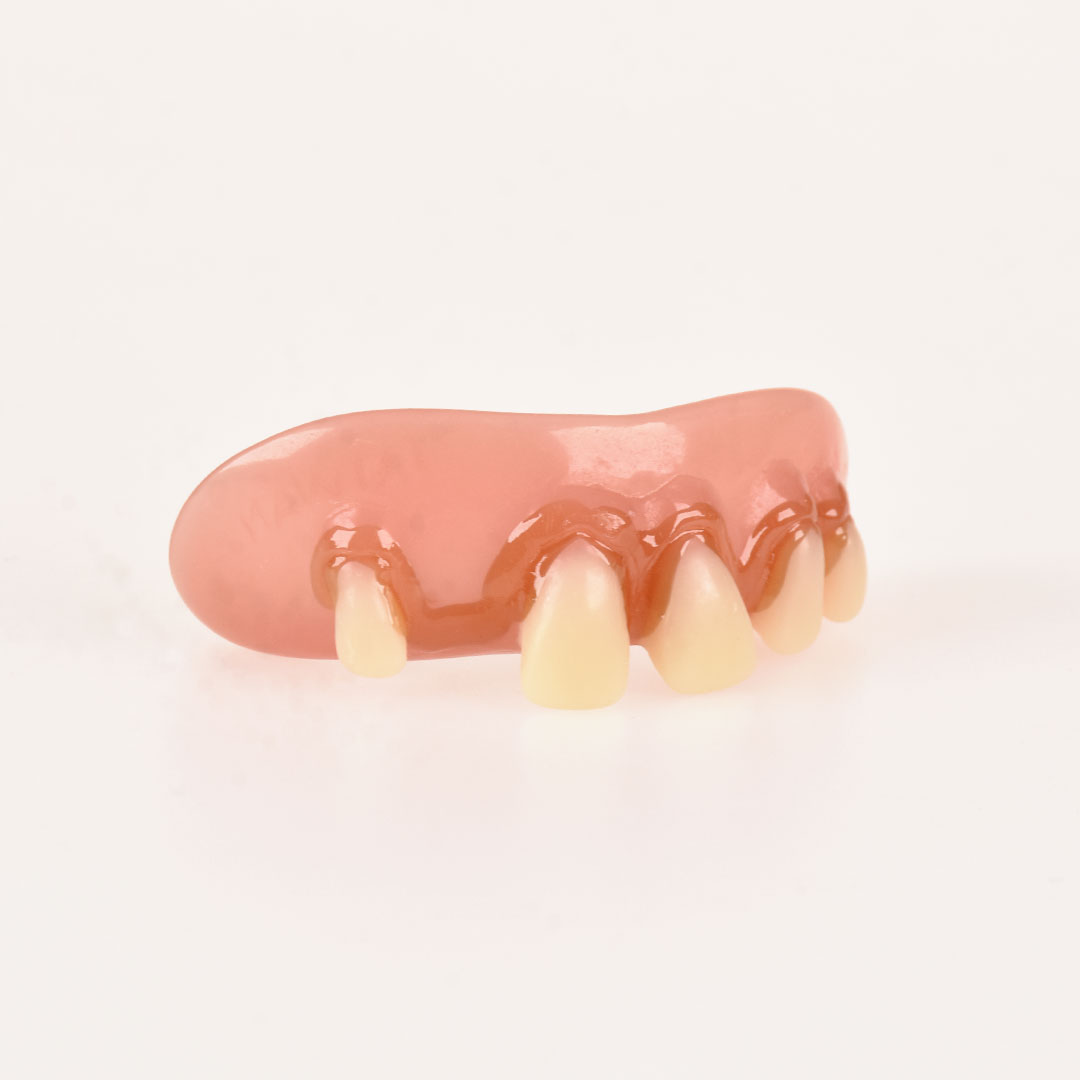 10061 Dientes Betty Bob