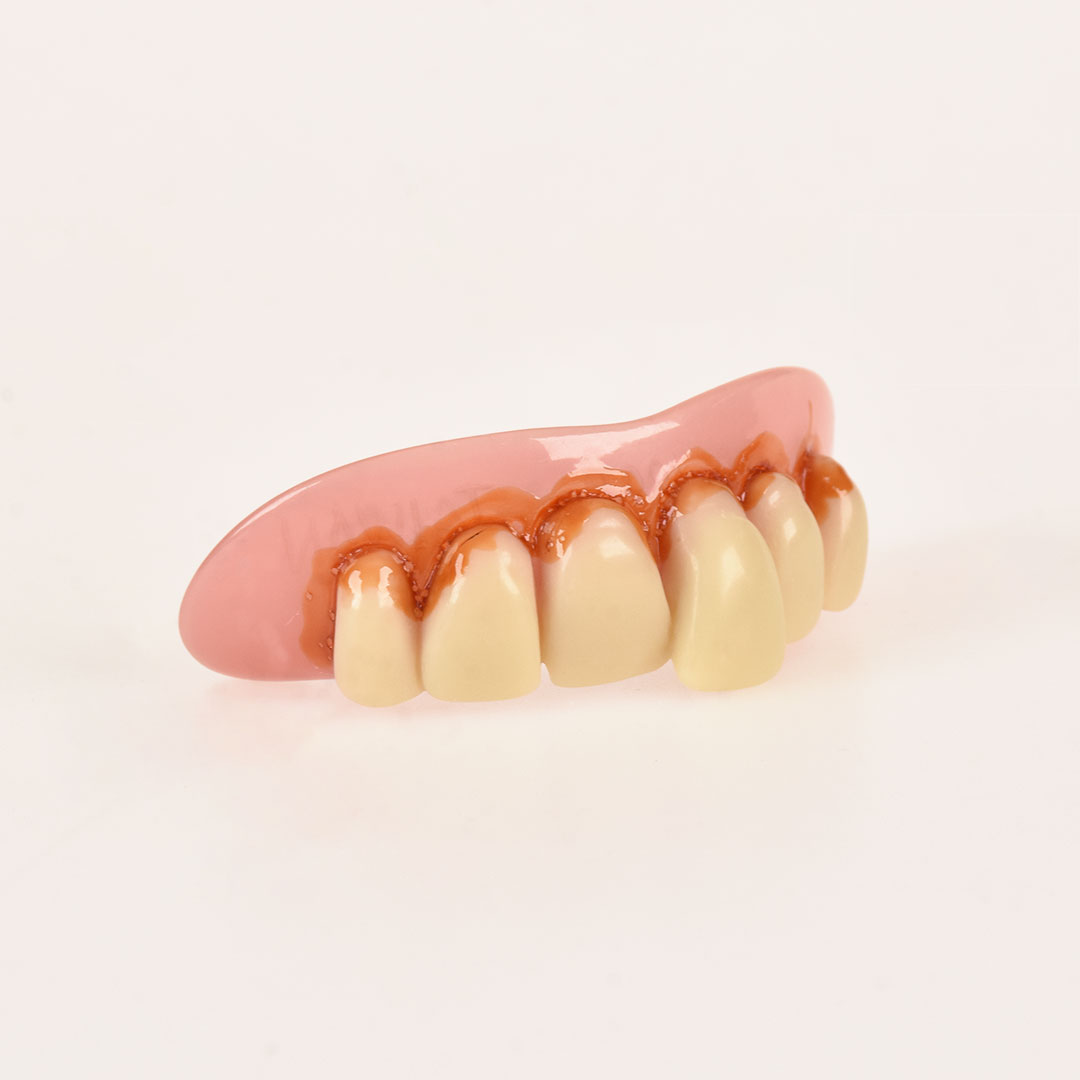 10530 Dientes Pirata Perla