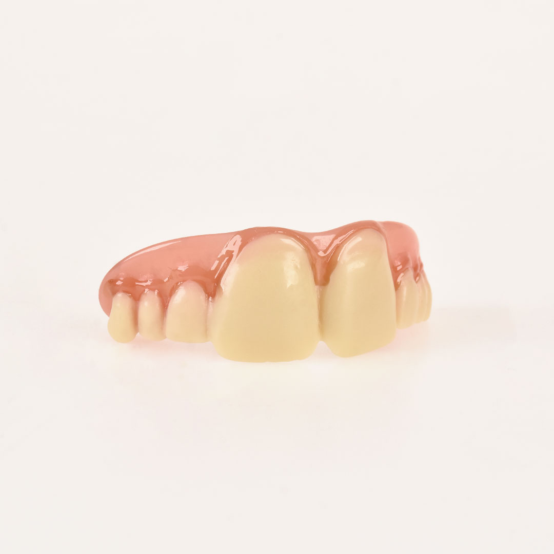 10861 Dientes Mega Grandes