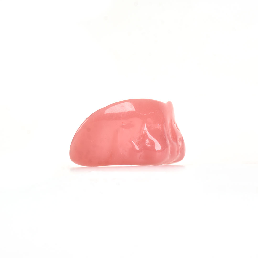 Dientes gums
