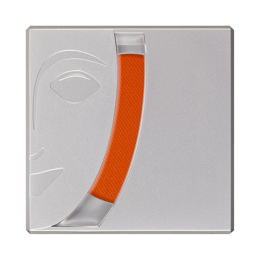 5191 Rubor profesional