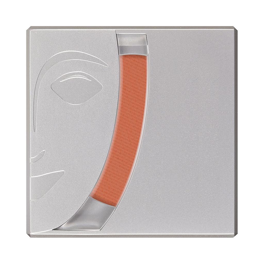 5191 Rubor profesional