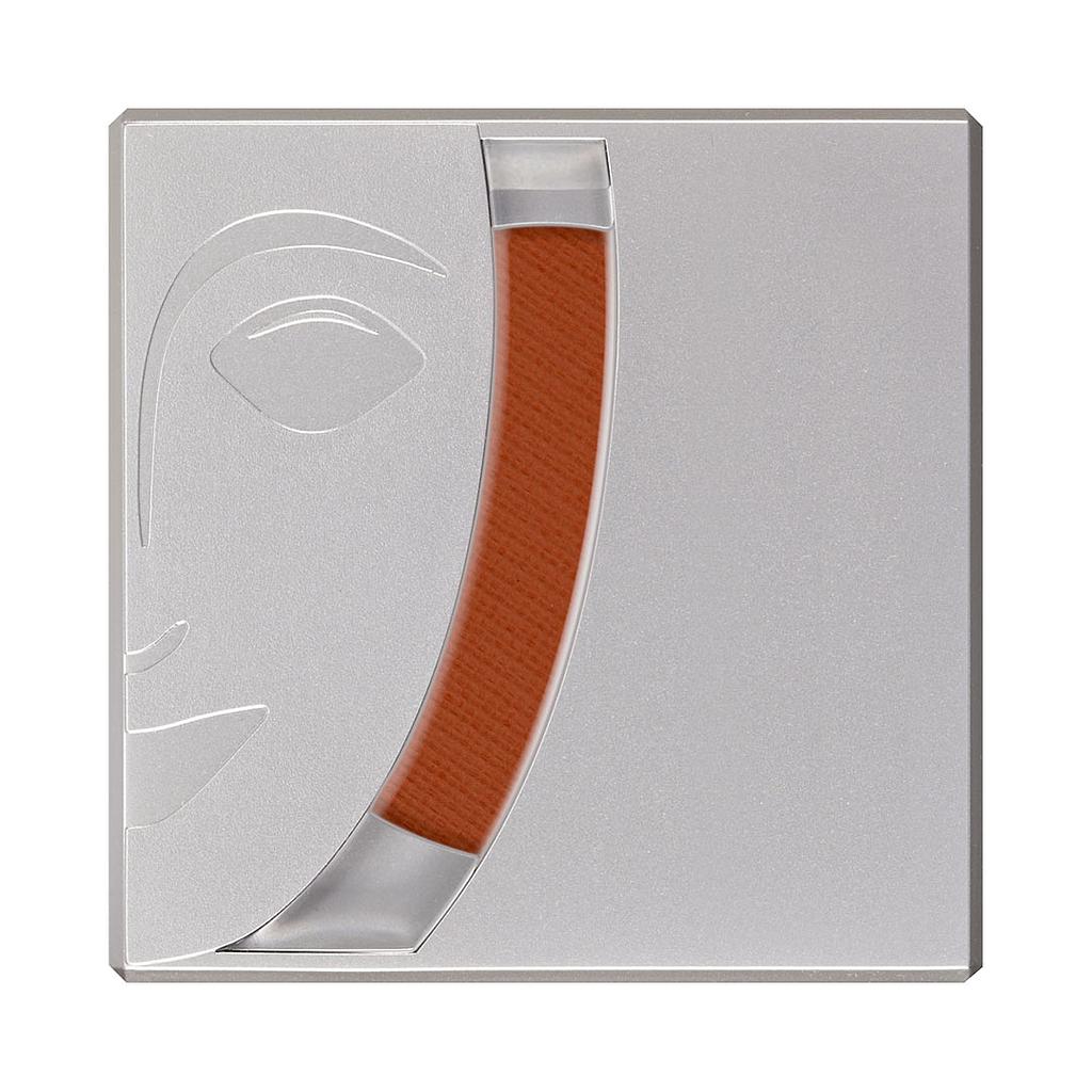 5191 Rubor profesional