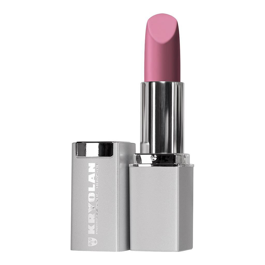 1201 Labial en estuche de plástico fashion