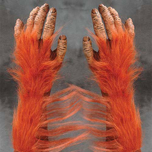 Orangutan glove