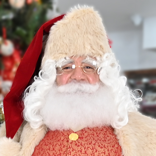 Peluca, barba, bigote y cejas de Santa Claus