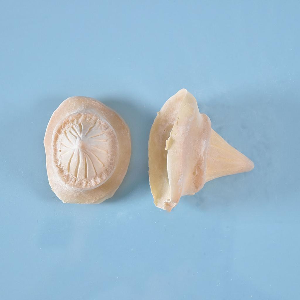 Prostético de cuernos Mod. 8