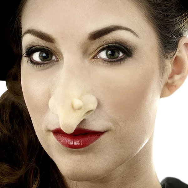 WO129 Prostético Nariz de bruja grande