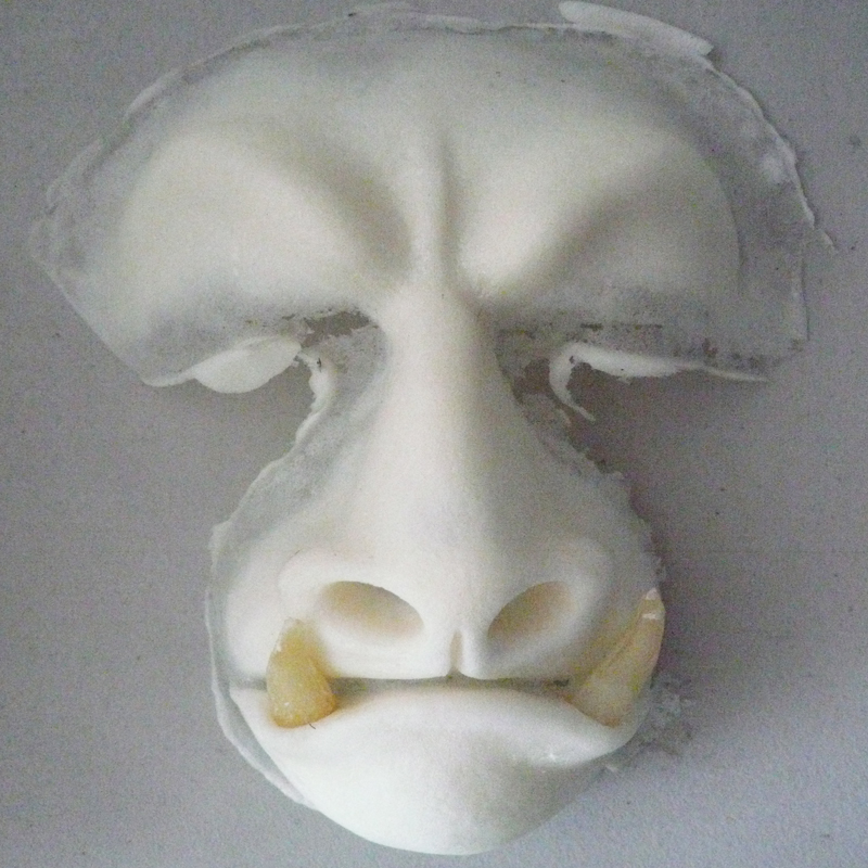 Prostético de bestia Artist 1