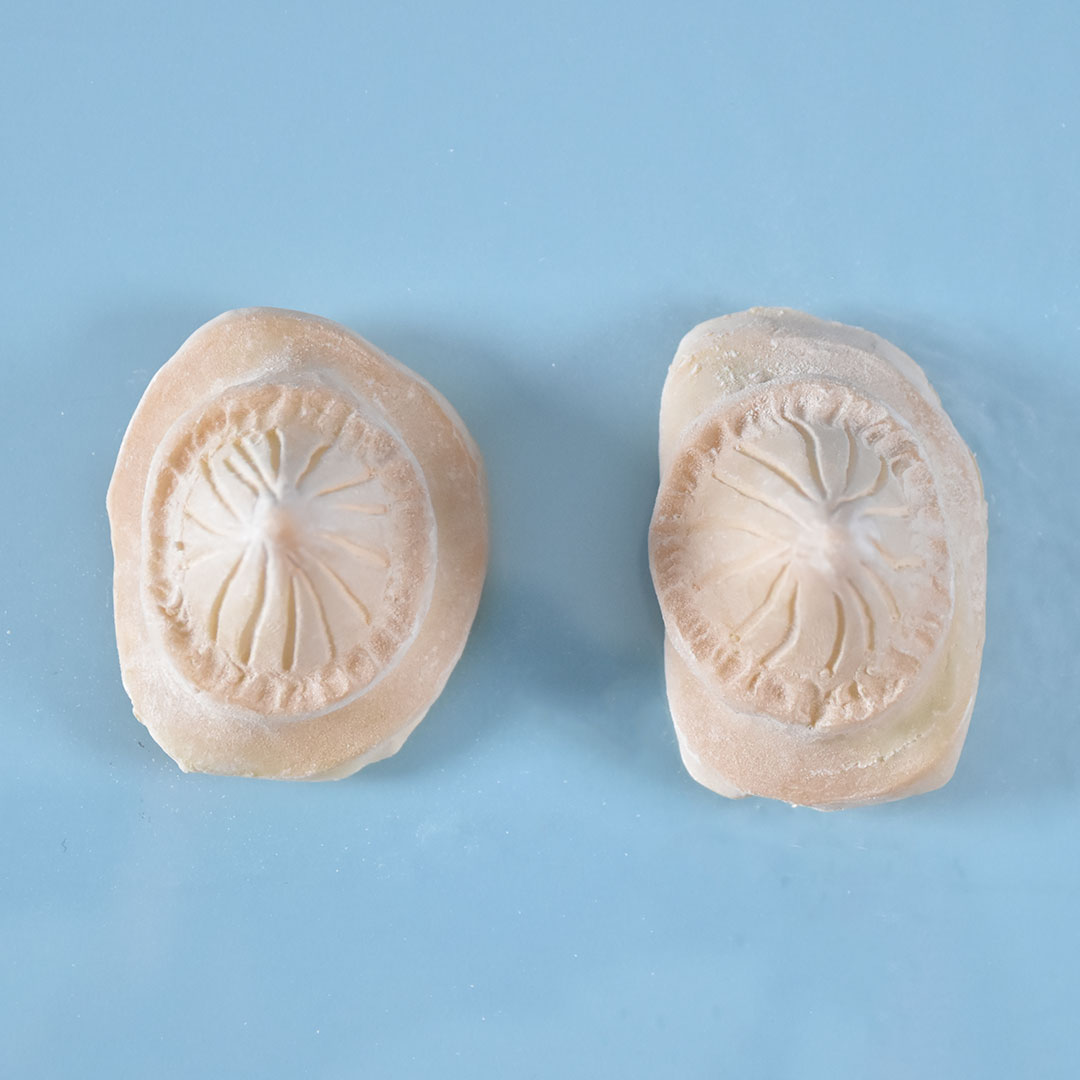 Prostético de cuernos Mod. 8