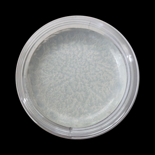 Skin Illustrator Singles_1