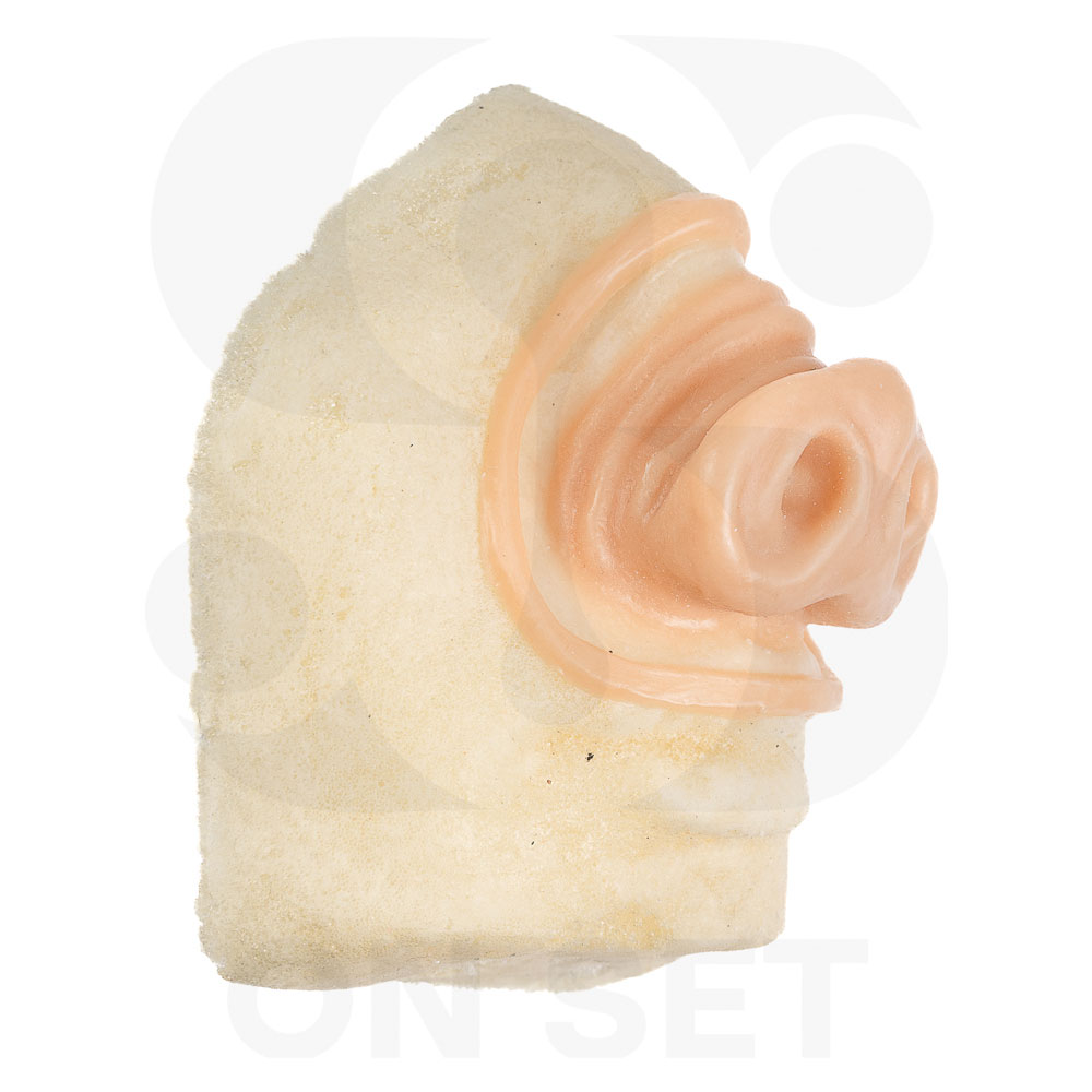 Prostético de Nariz de Cerdo