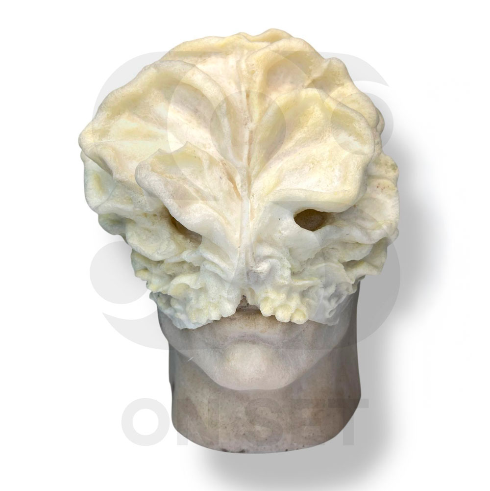 Prostético de Clicker (espuma de látex)