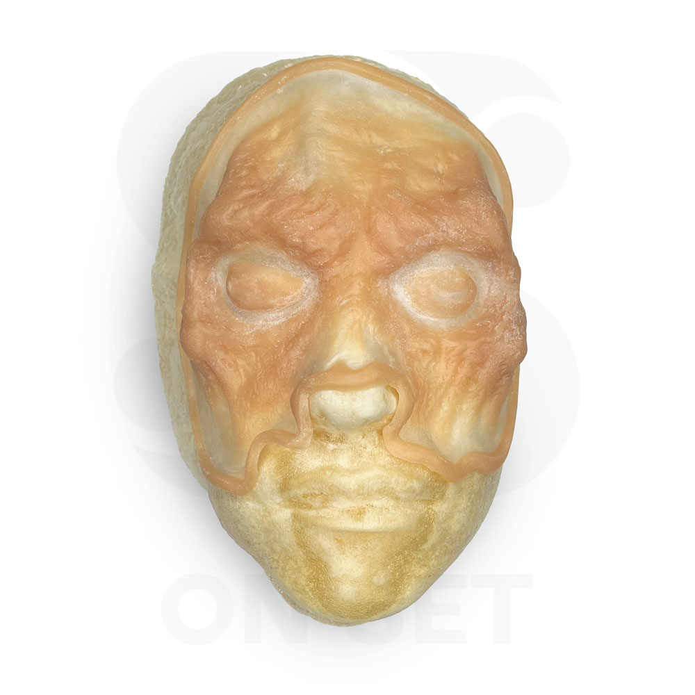 Prostético de Zombie 1 (silicón)